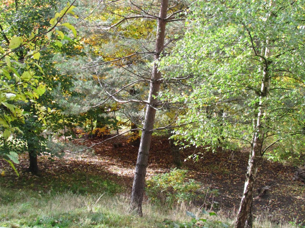 Pomnenka * Jachymov