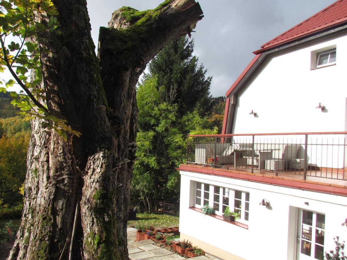 Pomnenka Holiday home