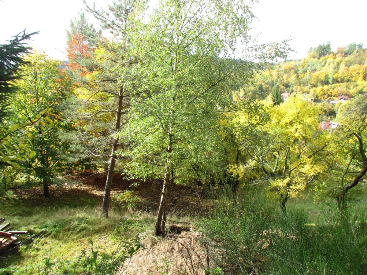 Pomnenka Holiday home